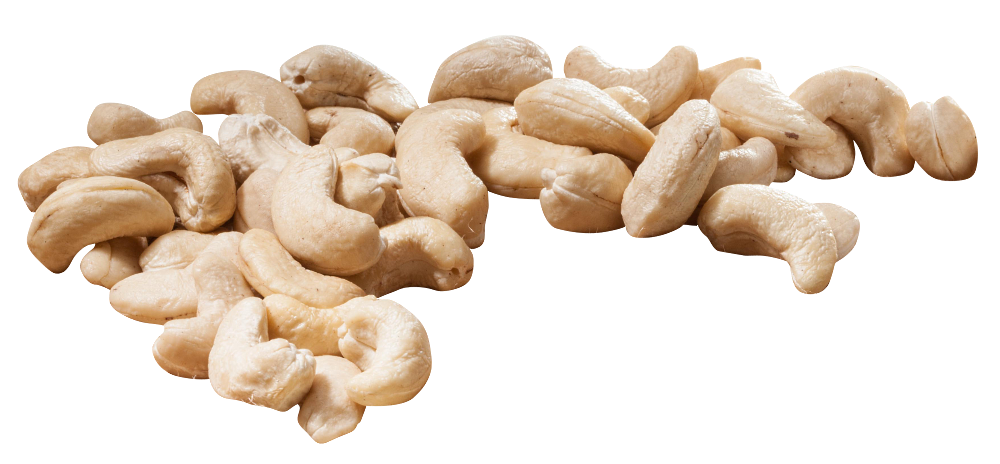 Detailbild von Cashewkernen von Meienburg